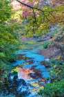 Autumn Colorful Leaves Reflection-Bellevue-Botanical Garden-Washington State Art Print